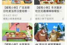 PiliPlus v2.0.5：横屏观影新体验-软粉时光